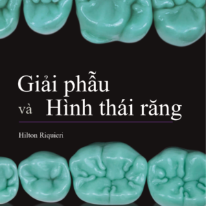 Giải phẫu và hình thái răng
